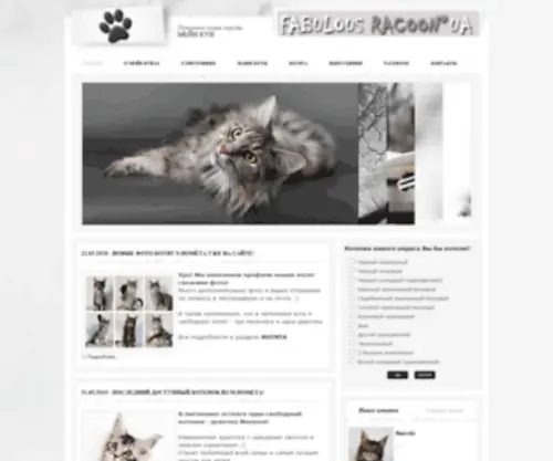 Racoon.com.ua(мейн кун) Screenshot