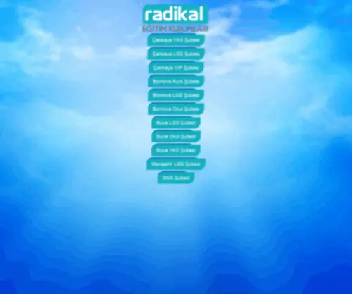 Radikalbirebir.com(Radikal Akademi Eğitim Kurumları) Screenshot