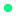 Radio.garden Favicon