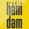 Radiohamdam.com Logo