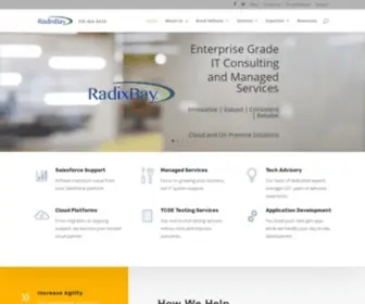 Radixbay.com(RadixBay Rural Shore IT Consulting and Managed Services) Screenshot