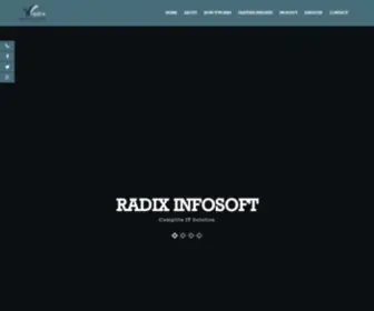 Radixinfosoft.com(Radix Infosoft) Screenshot