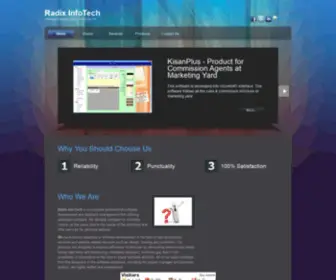 Radixitech.com(Radix InfoTech) Screenshot