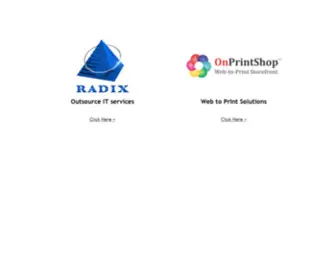 Radixweb.in(Software development company) Screenshot