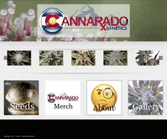 Radogear.com(Cannarado Genetics) Screenshot