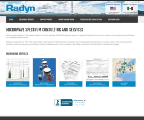Radyn.com(Radyn Inc) Screenshot