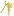Rafi.org Favicon