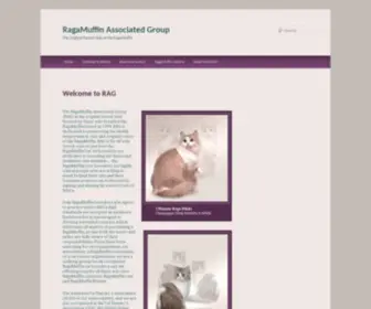 Ragamuffingroup.com(RagaMuffin Associated Group) Screenshot