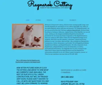 Ragdoll.com(Ragdoll Cats and Kittens for sale) Screenshot