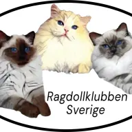 Ragdollklubben.com Favicon