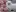 Ragtownragdolls.com Favicon