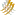 Raii.net Favicon