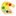 Rainbowartstudiohawaii.com Favicon