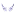 Rainbowmcs.com Favicon