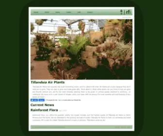 Rainforestflora.com(Tillandsia) Screenshot