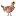 Raising-Chickens.org Favicon