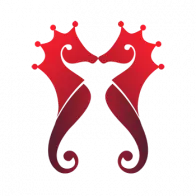 Rajaampat-Divelodge.com Favicon