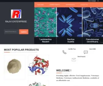 RajVienterprise.co.in(RAJVI ENTERPRISE) Screenshot