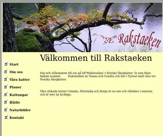 Raksta.net(raksta) Screenshot