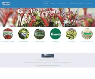 Ramm.com.au(Ramm Botanicals) Screenshot