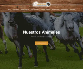 Rancholosminis.com(Rancho los Minis Criadero Mini Horse) Screenshot