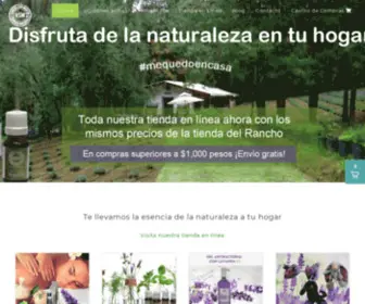 Ranchosanmartin.com.mx(Rancho San Martin) Screenshot