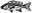 Randazzoseafood.com Favicon