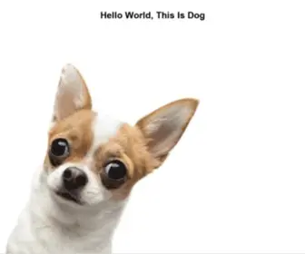 Random.dog(Hello world) Screenshot