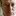 Rankandfiled.com Favicon
