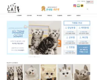 Raoncat.co.kr(고양이) Screenshot