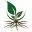 Rap.education Favicon