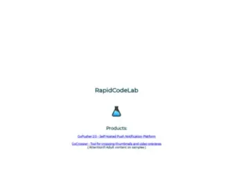 Rapidcodelab.com(Fast solutions written on Golang) Screenshot