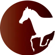 Rapidftpos.com Favicon