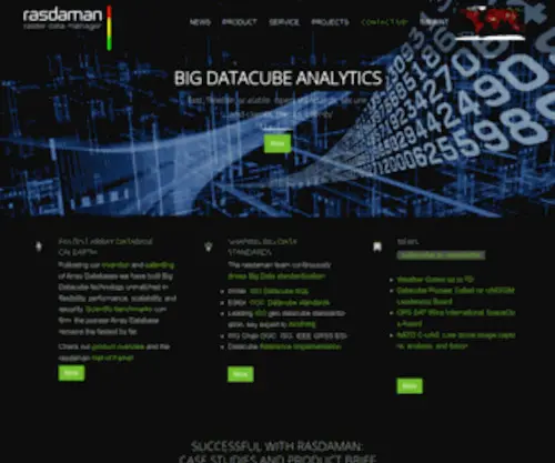 Rasdaman.com(Rasdaman) Screenshot