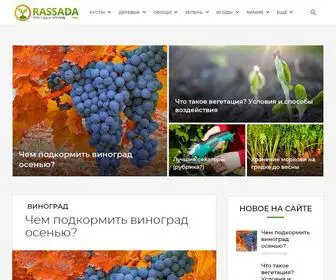 Rassada.info Screenshot