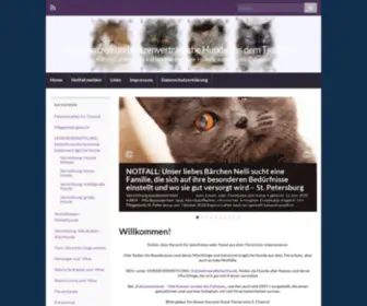 Rassekatzen-IM-Tierheim.de(Rassekatzen und katzenverträgliche Hunde aus dem Tierschutz) Screenshot