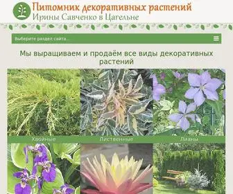 Rastenia.by(Питомник) Screenshot