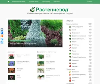 Rastenievod.com(Комнатные цветы и растения) Screenshot