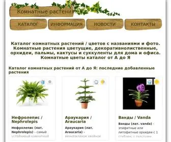 Rasteniya.dp.ua(Каталог комнатных растений с названиями и фото) Screenshot