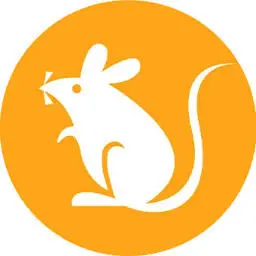 Ratstoken.net Favicon