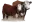 Rauschherefords.com Favicon