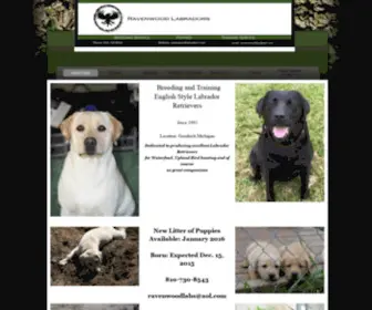 Ravenwoodlabradors.com(Ravenwoodlabs) Screenshot