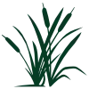 Ravindental.com Logo