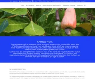Rawcashewnuts.com(Raw Cashew Nuts) Screenshot