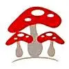 Rawlightup.com Favicon