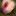 Raycaesar.com Favicon