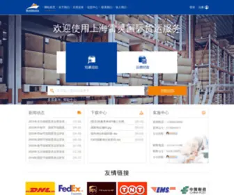 RaylinkGlobal.com(雷灵国际货运代理（上海）有限公司) Screenshot