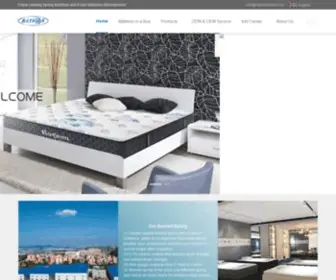 RaysonGlobal.com.cn(China Leading Spring and Foam Mattress Manufacturer) Screenshot