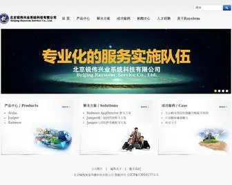 Raystem.com(北京锐伟兴业系统科技有限公司) Screenshot