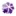 Raywang.org Favicon